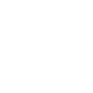 icon_policy