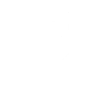 icon_policy