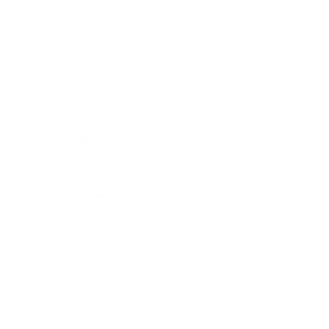 icon_policy